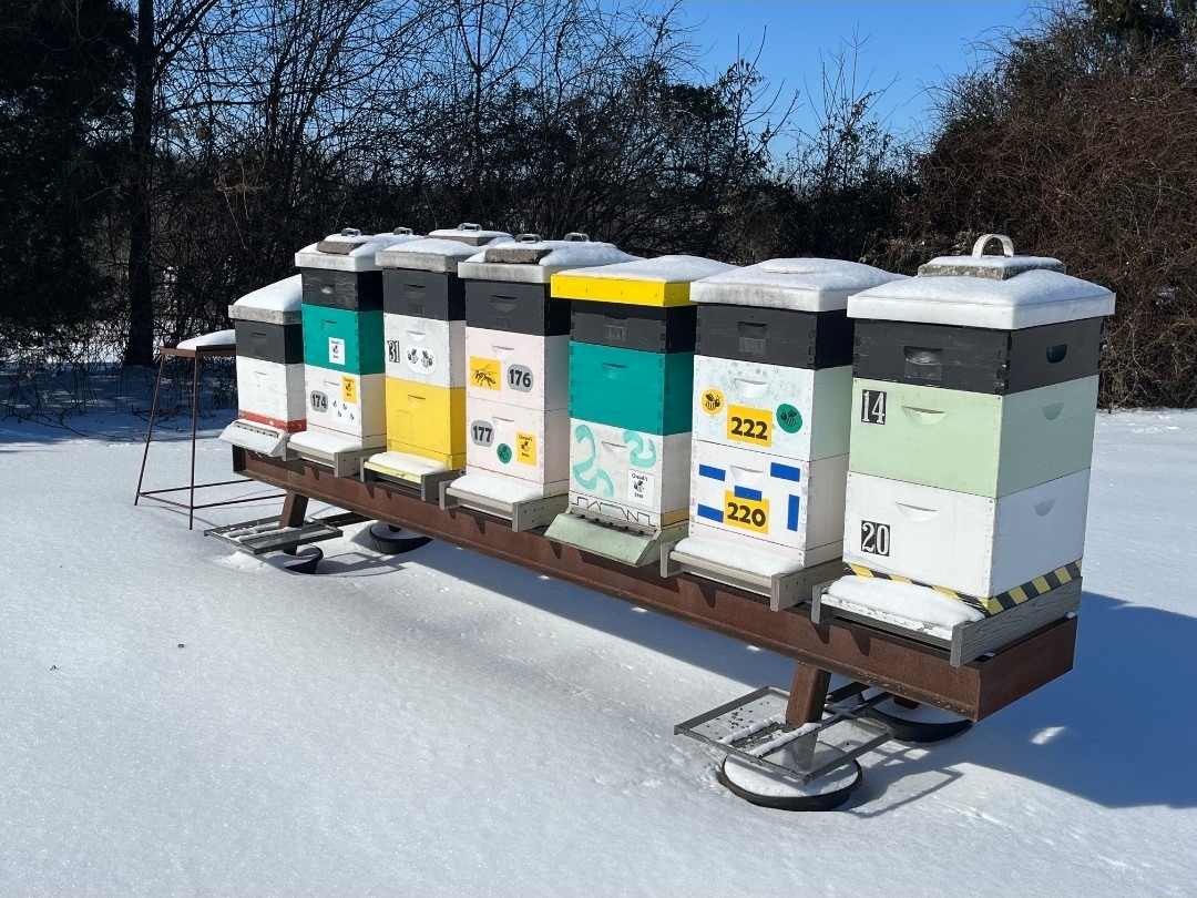 Managing Moisture in Beehives During Kentucky’s Late Winter