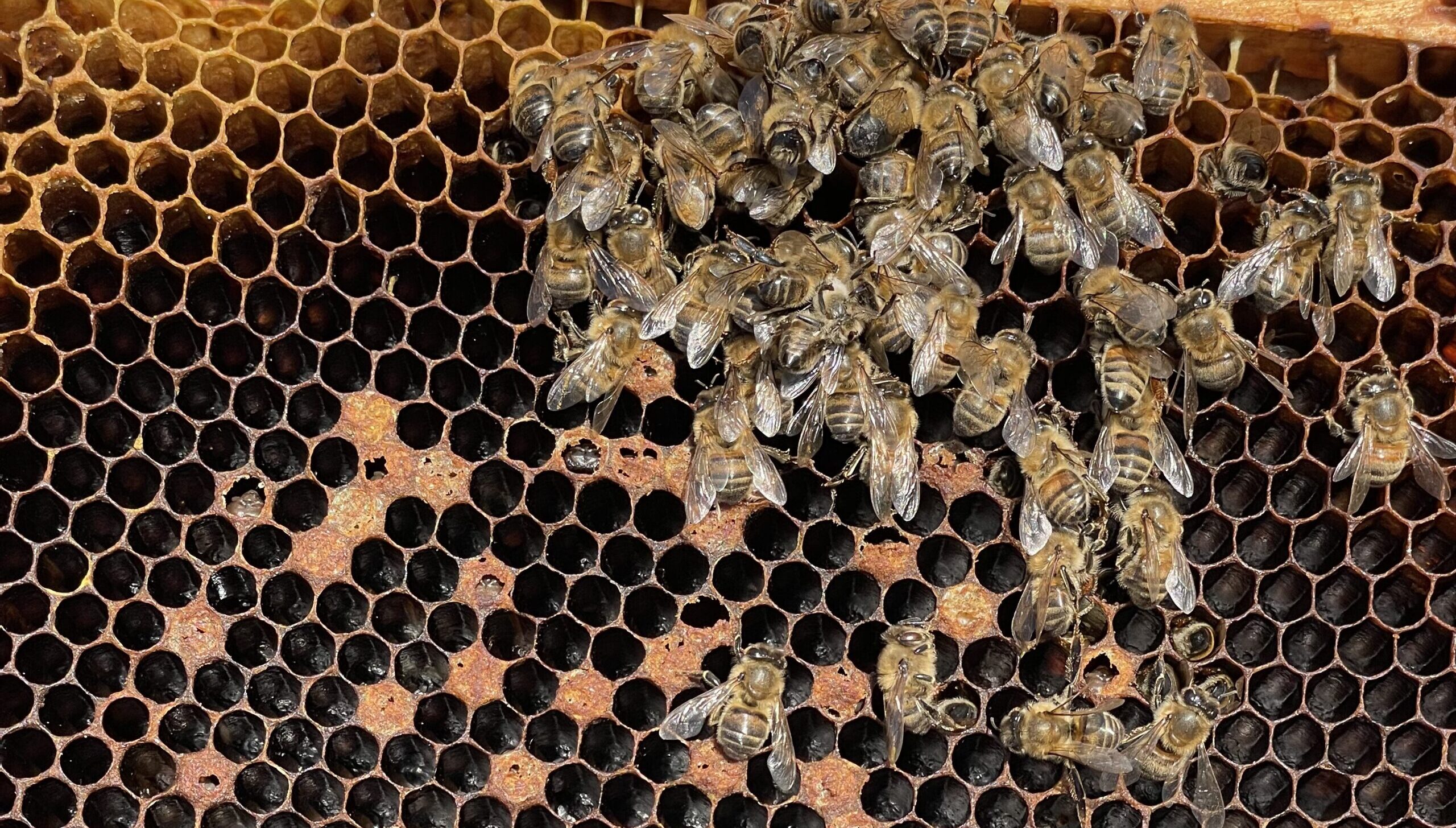 Ask Jake – April 2026